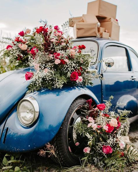 Bud Flower, Love Photo, Vw Bug, Flower Decor, Photo Op, Vw Beetle, Flower Bud, Love Photos, Vw Beetles