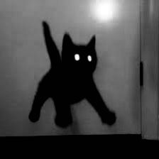 White Glowing Eyes, White Cat Meme, All Black Cat, Jumping Cat, Black Cat Aesthetic, Meme Cat, Black Cat Anime, White And Black Cat, Black Cat Tattoos