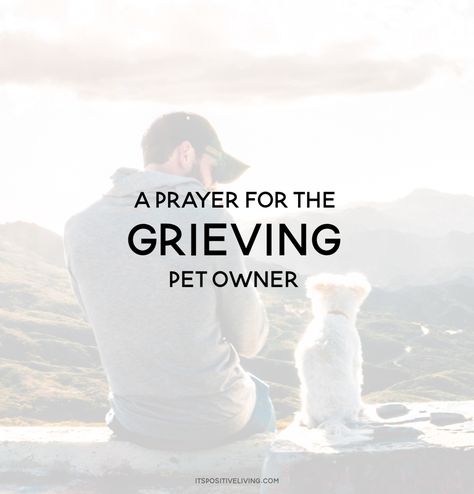 Prayers For Loss Of Dog, Bible Verse For Loss Of Dog, Dog Prayers Loss Of A, Losing A Dog Quotes, Dogs In Heaven, Losing A Pet Quotes, Dog Heaven Quotes, All Dogs Go To Heaven, Pet Bereavement