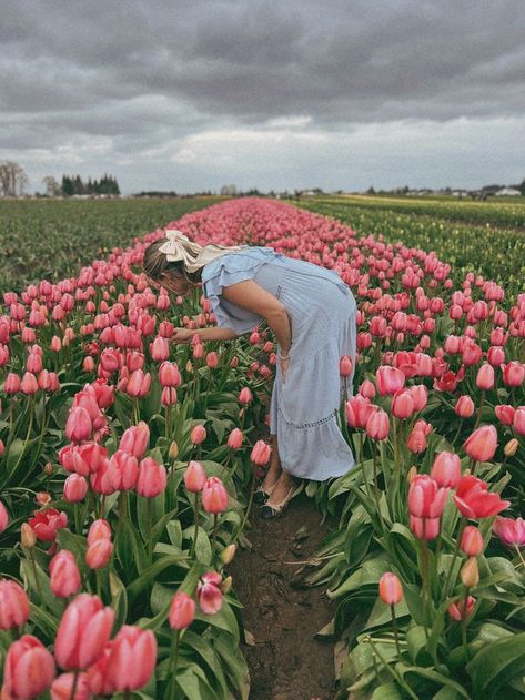 Tiptoe through the tulips Field Of Tulips Wallpaper, Tulip Field Photos, Flower Field Tulip, Tiptoe Through The Tulips, Tulip Feild Pics, Tulips Images, Amsterdam Field Of Tulips, Carlsbad Flower Fields, Tulip Season