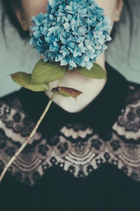 PPDT — http://www.prettypicsdelightfultips.tumblr.com Cloth Wallpaper, No Rain, You Left, Photography Portrait, Love Flowers, Flowers Photography, My Flower, Flowers Plants, Hydrangea