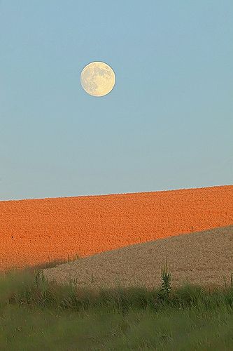 Moon In The Sky, Shoot The Moon, Beautiful Moon, Jolie Photo, Nature Aesthetic, Pretty Places, Aesthetic Photography, Full Moon, Beautiful World