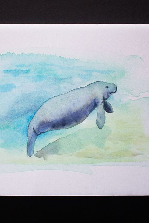 Manatee Watercolor Paintings, Mantaray Watercolor, Manatee Nursery, Manatee Watercolor, Manatee Painting, Florida Scenery, Manatee Art, Underwater Tattoo, Fox Watercolor