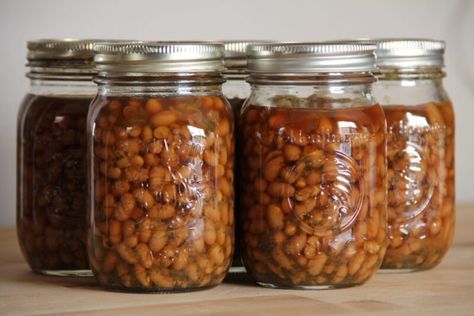 Canning Baked Beans, Maple Baked Beans, Canning Beans, Canned Baked Beans, Bbq Beans, Homemade Baked Beans, Pressure Canning Recipes, Canning Kitchen, Low Acid Recipes