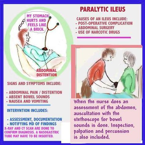 Interesting take on this one Medsurg Nursing, Gastrointestinal Nursing, Med Surge, Study Nursing, Nurse Ideas, Perioperative Nursing, Gi System, Ng Tube, Nursing Cheat