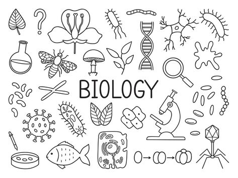 Biology doodle set. Education and study concept. School equipment, viruses, bacteria in sketch style. Hand drawn vector illustration isolated on white background Biology Drawing Ideas, Biology Doodles, Biotechnology Art, Biology Drawing, Instagram Username Ideas, Biology Art, Drawing Template, Lino Art, Hand Drawn Vector Illustrations