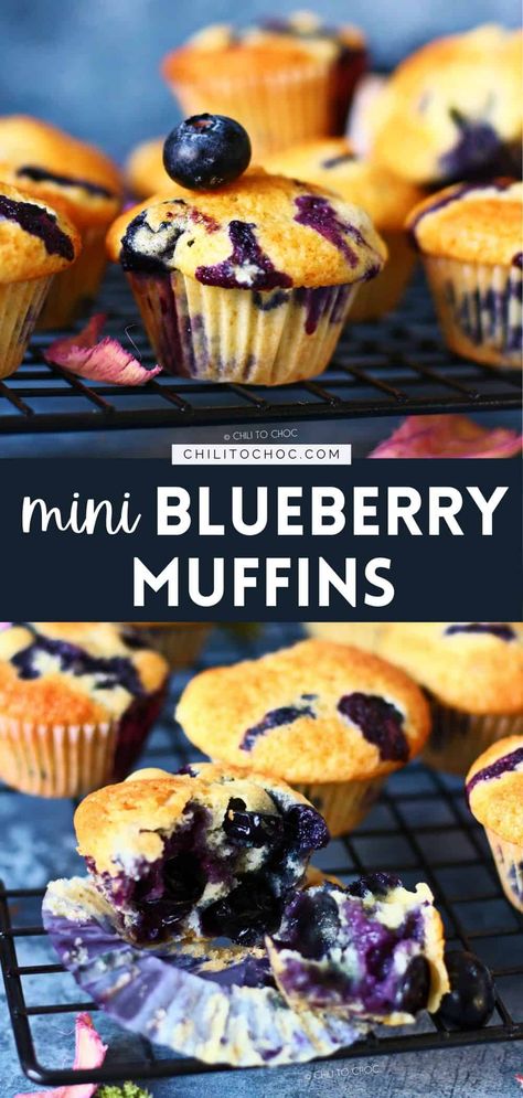 These delicious homemade mini blueberry muffins are perfect for breakfast, snack or dessert. And it’s a super easy, make-ahead recipe! Frozen Blueberry Muffins, Mini Blueberry Muffins, Breakfast Kids, Homemade Blueberry Muffins, Easy Blueberry Muffins, Double Chocolate Muffins, Berry Muffins, Lemon Blueberry Muffins, Muffin Recipes Blueberry