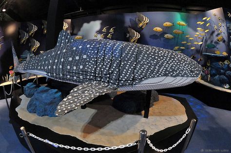 Lego Whale Shark by kelvin255, via Flickr. Very cool! Shark Lego, Lego Structures, Big Lego, Lego Sculptures, Lego Boards, Lego Animals, Amazing Lego Creations, Lego Creative, Lego Pictures