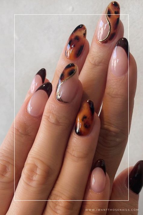 tortoiseshell nails designs Navy Blue And Tortoise Shell Nails, Square Nail Designs Autumn, Unusual French Tip Nails, Blonde Tortoise Nails, Short Nail Art Fall, Tortice Nails, Simple Earthy Nails, Short Square Nail Designs Trending Now, Fun Nails Fall