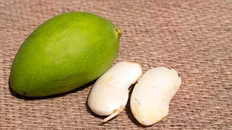 Mango season is special! But do you also throw away the mango seeds after relishing it to the fullest? If yes, you have been missing out on a lot. Mango seed is a powerhouse of nutrients, minerals and vitamins. Here are 6 benefits of mango seeds you didn’t know! Benefits Of Mango, Mango Health Benefits, Mango Benefits, Mango Seed, Main Course Dishes, Tooth Powder, Reduce Cholesterol, Dental Health, Reduce Inflammation