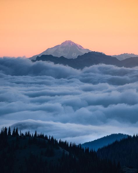 What sunrise looks like above the clouds - Glacier Peak seen from MRNP WA (OC) [1600x2000] http://ift.tt/2EO959h Sea Of Clouds, Mt Rainier National Park, Live The Moment, Rising Above, Photography Kit, Amazing Landscapes, Active Volcano, Rainier National Park, National Photography