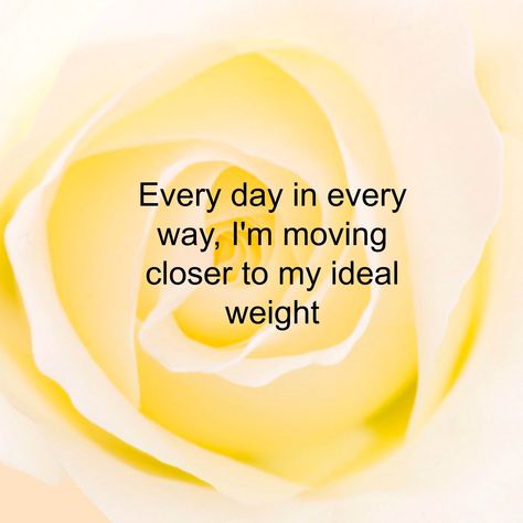 Fill your mind with these powerful affirmations for weight loss. A big collection of affirmations plus ideas to help create your own and top tips to use... Korean Diet Plan, Affirmations Positive, Money Magnet, Clean Food, Ideal Weight, Success Affirmations, Positive Affirmation, Quotes Life, How To Slim Down