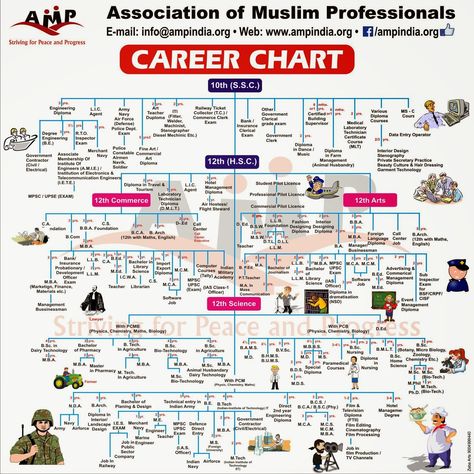 After 10th Career Chart, Career Options After 12th Science, Career Chart, Career Finder, Phone Codes, Math Charts, Different Careers, Career Fields, Amazing Facts For Students