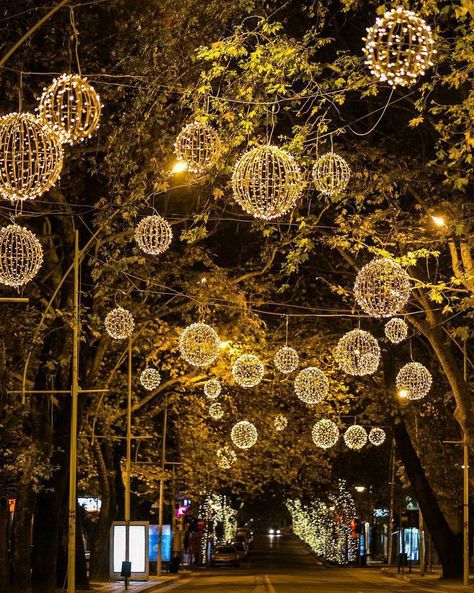 Outdoor Decorations Ideas, Christmas Europe, Outdoor Christmas Decoration Ideas, Cocktail Decoration, Wedding Hall Decorations, Lights Decoration, Wedding Entrance Decor, Lights Wedding Decor, Wedding Stage Design