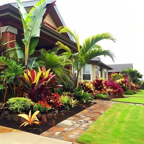 Hardy Tropical Landscaping, Tropical Landscaping Around Pool, Hawaii Landscaping, Tropical Landscaping Front Yard, Tropical Front Yard Landscaping, Tropical Front Yard, Sims Garden, Cornwall Landscape, Florida Landscaping Ideas