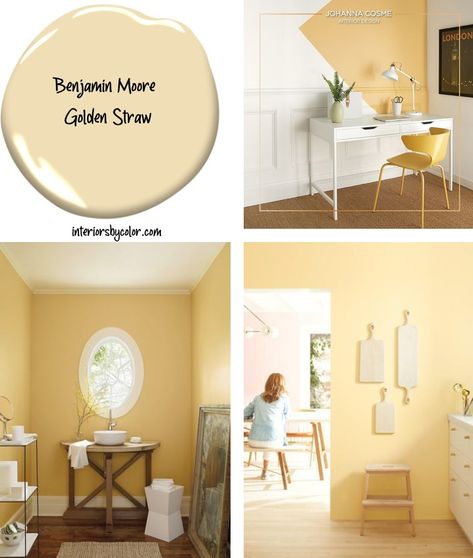 Benjamin Moore Most Loved Yellow Paint Colors - Interiors By Color. BENJAMIN MOORE GOLDEN STRAW Benjamin Moore Pale Moon Paint, Interior Yellow Paint Colors, Golden Straw Benjamin Moore, Golden Tan Paint Color, Yellow Benjamin Moore Paint Colors, Gold Color Paint For Walls, Straw Colored Paint, Gold Walls Paint, Yellow Paint For Bedroom