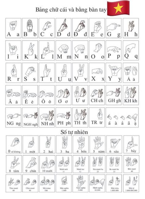 Vietnamese Sign Language Vietnamese Handwriting, Vietnamese Symbols, Vietnamese Learning, Learning Vietnamese, International Sign Language, Vietnamese Alphabet, Vietnamese Words, Sign Language Book, Learn Vietnamese