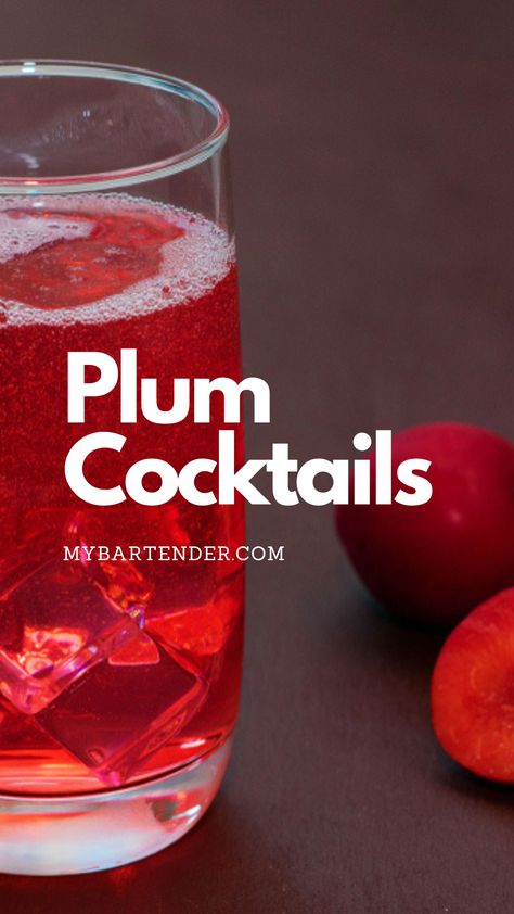 Plum Cocktails Plum Bourbon Cocktail, Plum Alcohol Recipes, Plum Simple Syrup, Plum Wine Cocktail, Plum Sake Cocktail, Plum Vodka Cocktails, Plum Brandy Recipe, Plum Drink Recipe, Plum Drinks