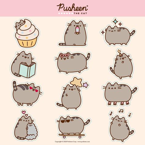 Pusheen Calendar, Pusheen Book, Pusheen Stickers, Dog Washing Station, Cat Calendar, Calendar Wall, Dream's Cat, Cartoon Cake, Pusheen Cat