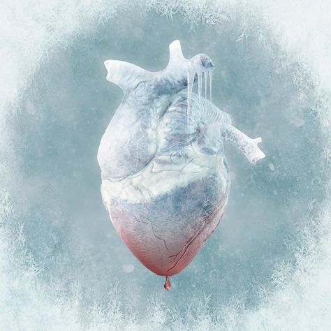 Frozen heart Ice Heart Aesthetic, Paradis Sombre, Ice Drawing, Anatomical Heart Art, Ice Heart, Heart Artwork, Frozen Heart, Art Painting Tools, Lost Souls