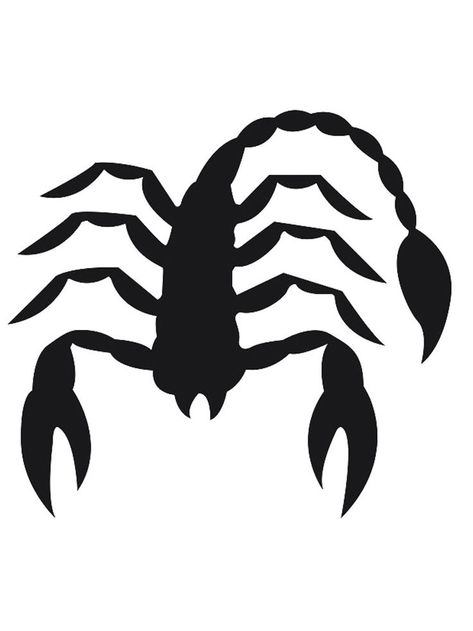 Scorpion stencils are sure to please those who are fond of mystical stories. After all, this creature is a symbol of mystery, something dangerous and unexplored. Here you can download or print Scorpion stencils for free. A Symbol, Scorpion, Free Printable, Free Printables, Insects, For Free, Drawings