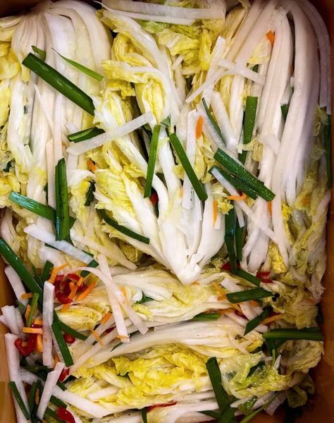 Baek kimchi or white kimchi Green Onion Kimchi Recipe, Baek Kimchi Recipe, White Kimchi Recipe, Spicy Kimchi Recipe, Water Kimchi, White Kimchi, Kimchi Cabbage, Kimchi Recipes, Asian Veggies