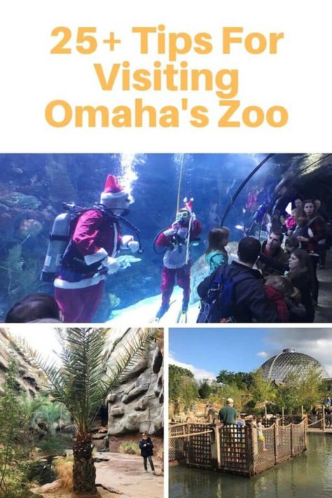 Omaha Henry Doorly, Nebraska Travel, Travel Nebraska, Omaha Zoo, Zoo Aquarium, Splash Park, Nebraska State, Us Travel Destinations, Family Vacation Destinations