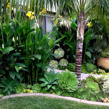 Jenny says - This seems like a more tropical but mixed with succulents and more CA like vs. FLA Napa House, Small Tropical Gardens, Tropical Landscape Design, Florida Landscaping, Backyard Trees, Tropical Garden Design, Tropical Backyard, Pool Backyard, Landscaping Inspiration