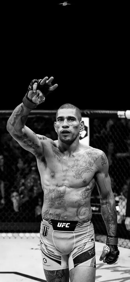 Alex Pereira Wallpaper, Nate Diaz Ufc, Alex Sandro, Ufc Poster, Alex Pereira, Hand Wallpaper, Monochrome Wallpaper, Boxing Images, Ufc Boxing