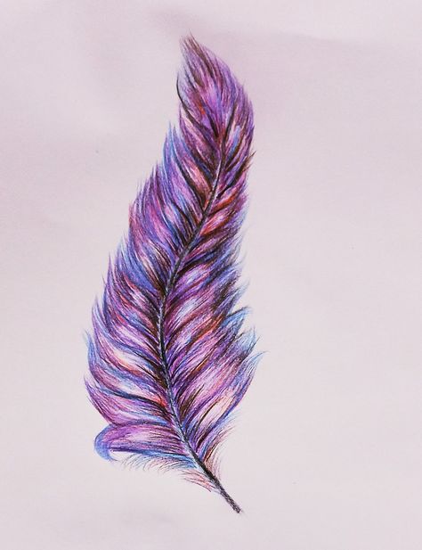 Boho Feather Tattoo, Hazel Tattoo, Fur Drawing, Feather Tattoo Colour, Art Feathers, Tattoo Colour, Botanical Flower Art, Boho Feathers, Feather Tattoo