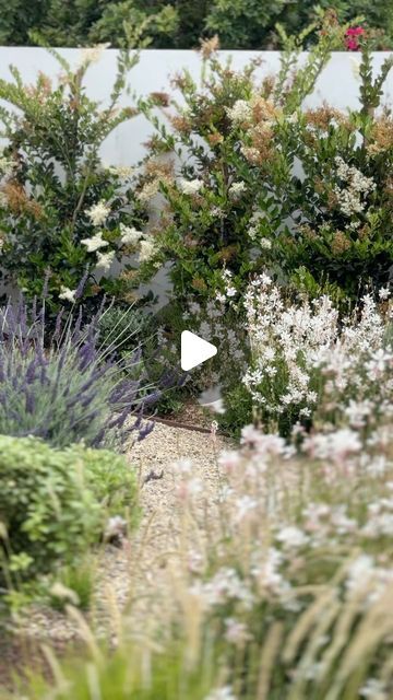 Garden Studio | Southern California Landscape Design on Instagram: "June gloom 🤝🏽 full bloom  This tranquil courtyard garden is putting on a spectacular show, thanks to the morning cloud cover typical of Southern California this time of year. The plants thrive in the respite from the afternoon heat, allowing their blooms to flourish!  Now if only Instagram had a scratch & sniff feature…🌸🌼🪻  Floral beauty, garden inspiration, Southern California landscape design, California gardens, courtyard design, limestone water feature #southerncalifornialandscapedesign #californialandscapedesign #landscapedesign #LandscapeArchitecture #homerenovation #exteriordesign" Southern California Landscaping, California Front Yard Landscaping Ideas, California Landscape Design, Cottage Front Yard, California Landscaping, June Gloom, California Backyard, Native Gardens, Backyard Designs