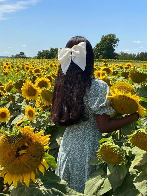 Poses With Sunflower, Sunflower Field Aesthetic, Sunflower Poses, Pictures With Sunflowers, Field Poses, Sunflower Field Pictures, Sunflower Photography, Grp Ports, Sunflower Pictures