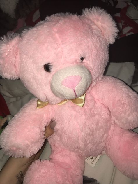 Pink Teddy Bear Aesthetic, Teddy Bear Aesthetic, Bear Aesthetic, Fav Color, Pink Teddy Bear, Pink Teddy, Stuffed Animals, Plush Toy, Plush Toys