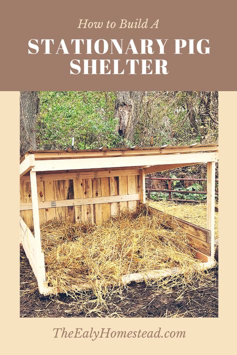 How to Build A Stationary Pig Shelter | The Ealy Homestead Pig Pens, Pig Shelter, Chicken Coop Designs Diy, Raising Pigs, Pig Pen, Homesteading Diy, Pig House, Farm Day, Farm Plans