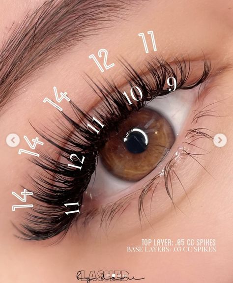 Spikey Cat Eye Lash Extensions Map, Fox Eye Lash Mapping, Wispy Hybrid Mapping, Hybrid Natural Lash Extensions Map, Diy Lash Mapping, Almond Eye Lash Map, Classic Wispy Lash Extensions Mapping, Lash Mapping Eyelash Extensions Hybrid, Anime Lash Extensions Mapping