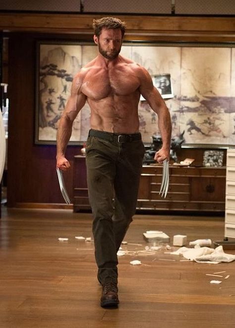 Hugh Jackman as Wolverine Apocalypse Movies, X-men Apocalypse, Hugh Jackman Wolverine, Logan Howlett, Wolverine Logan, Wolverine Art, Wolverine Hugh Jackman, Logan Wolverine, The Wolverine