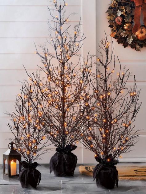 ✨Sale Alert✨ Pre-lit faux Halloween trees. Come in three sizes and feature black branches with orange light. Indoor and outdoor Halloween decor. Follow my shop @BusyBeeBlessings on the @shop.LTK app to shop this post and get my exclusive app-only content! #liketkit #LTKsalealert #LTKhome #LTKSeasonal @shop.ltk https://liketk.it/4hTQH Halloween Decor Diy, Halloween Costumes Ideas, Halloween Front Porch Decor, Haunted Forest, Diy Halloween Decor, Halloween Porch Decorations, Halloween Front Porch, Inspire Me Home Decor, Grandin Road