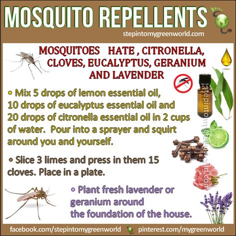 mosquito repellent new style#2 Make Peppermint Oil, Natural Mosquito Spray, Diy Mosquito Repellent, Bug Repellant, Mosquito Spray, Citronella Essential Oil, Insect Spray, Diy Pest Control, Best Pest Control