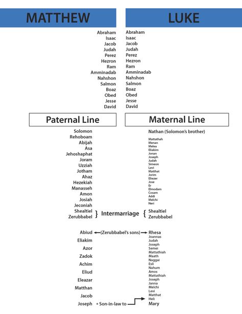 Biblical Genealogy, Jesus Genealogy, Apologetics Press, Art History Books, Bible Genealogy, Genealogy Of Jesus, Bible Timeline, Gospel Bible, Bible Mapping