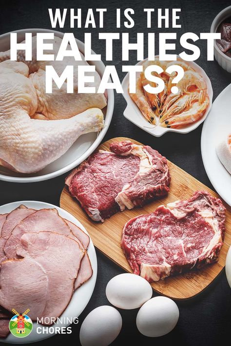 Some people worried about eating meat because they think it's unhealthy. If you're not sure what to eat, here are 19 of the healthiest meats to choose. Healthy Meats To Eat, Healthy Lunch Meat, Meatless Protein, Low Cal Diet, No Bread Diet, Ground Beef Pasta, Healthy Meats, Turkey Recipes Thanksgiving, Best Meat