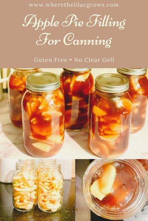 This apple pie filling is so delicious! It will make your holiday's so easy! You will be so glad you made this amazing apple pie filling that's gluten free and free of clear gel! #applepiefilling #applepierecipe #piefilling #canningapples #appleharvest #foodpreservation #applepiefillingrecipe #glutenfree #veganpie #veganapplepie #glutenfreeveganapplepie #glutenfreeveganpierecipe Canning Recipes Apple Pie Filling, Canning Apple Pie Filling With Cornstarch, Preserving Apple Pie Filling, Canned Apple Pie Filling Recipes Without Clear Gel, Canning Apple Pie Filling With Tapioca, Caramel Apple Pie Filling Canned, Canned Apple Pie Filling Without Clear Gel, Best Canned Apple Pie Filling, Apple Pie Recipe For Canning