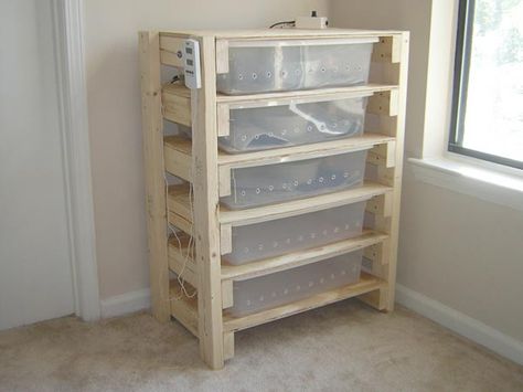 Snake Rack, Reptile Rack, Egg Organizer, Snake Cages, Terrariums Diy, Diy Reptile, Snake Enclosure, Diy Rack, Reptile Room