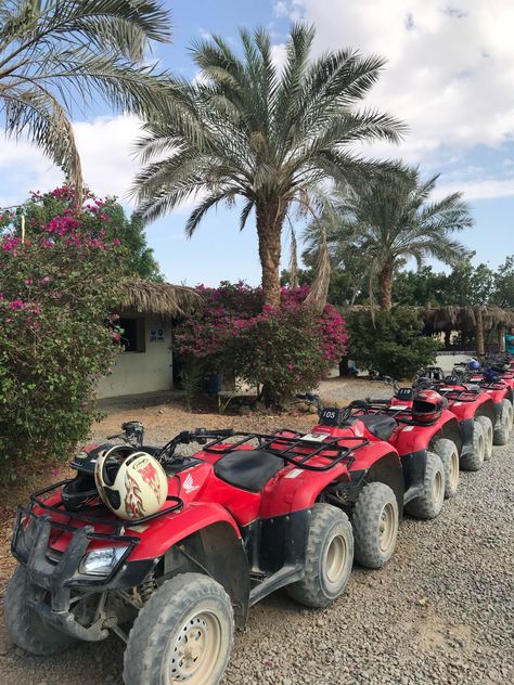 Quad Riding Aesthetic, Quadbikes Aesthetic, 4wheeler Aesthetic, Quad Biking Aesthetic, Quad Bike Aesthetic, Quad Aesthetic, Adrenaline Aesthetic, Palm Aesthetic, Aesthetic Flowers Wallpaper