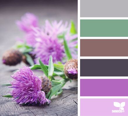 thistle tones Seeds Color, Color Palate, Design Seeds, Color Palette Design, Color Stories, Color Samples, World Of Color, Colour Schemes, Color Swatches