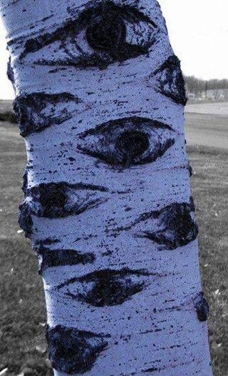 Birch tree. These trees have eyes. Arte Peculiar, Welcome To Night Vale, Night Vale, Tree Hugger, Birch Tree, Salvador Dali, Beautiful Tree, Gravity Falls, Dali