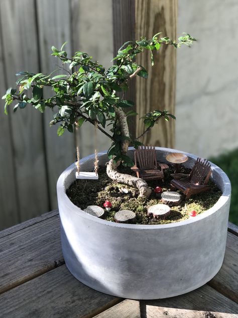 Fairy Garden with Bonsai Tree! Bonsai Fairy Garden, Mini Bonsai Garden Ideas, Fairy Garden In Pots Planters, Bonsai Containers Pots Diy, Bonsai Miniature Garden, Mini Bonsai Garden, Bonsai Decoration Ideas, Bonsai Pots Ideas, Fairy Garden Container Ideas