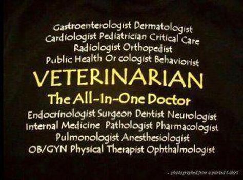 My DVM Vacation: It's twu. Doctor Of Veterinary Medicine, Veterinary Humor, Equine Veterinarian, Becoming A Veterinarian, Veterinary School, Veterinary Science, Animal Doctor, Animal Medicine, Vet School