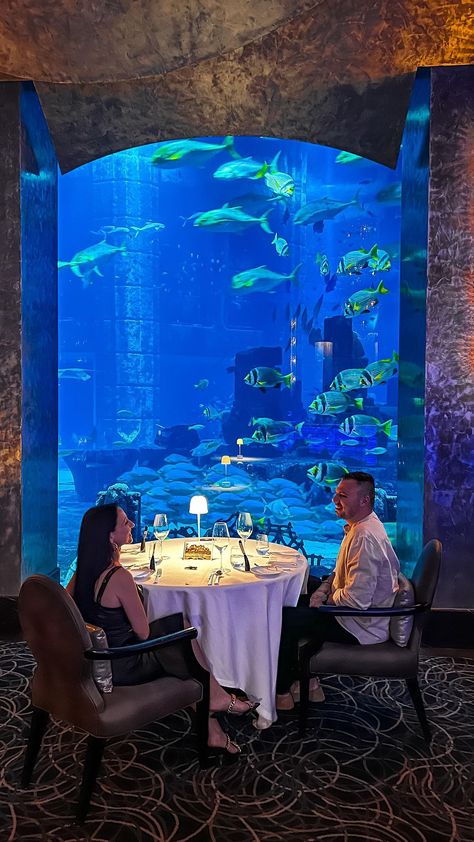 Living Underwater, Aquarium Restaurant, Trip Moodboard, Underwater Restaurant, Lilly Pad, Michelin Restaurant, Coffee Restaurants, Dinner Room, Office Layout