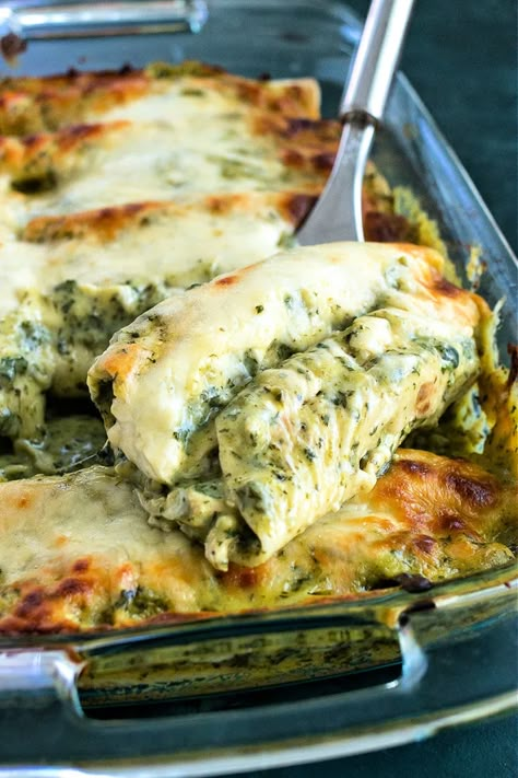 Creamy Poblano Enchiladas - CPA: Certified Pastry Aficionado Roasted Poblano Enchilada Sauce, Poblano Chicken Pasta, Chicken Enchiladas With Poblano Cream Sauce, Recipes With Poblanos, Poblano Chile Recipes, Pablano Pepper Enchilada Sauce, Poblano Sauce Recipe, Poblano Pepper Enchiladas, Creamy Poblano Sauce