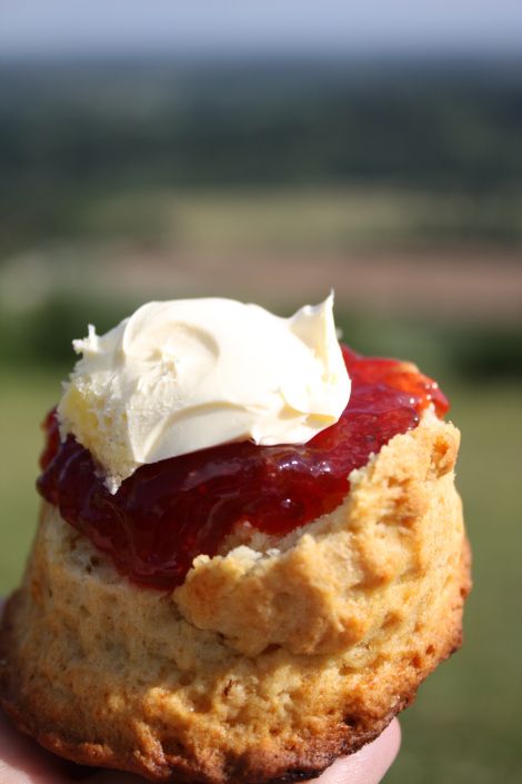 The cornish way with @Tim Harbour Harbour Rodda's Cream Cornish Cream Tea, Box Hill, British Desserts, Cream Tea, Clotted Cream, Food Places, Food Images, Lovely Things, Local Food